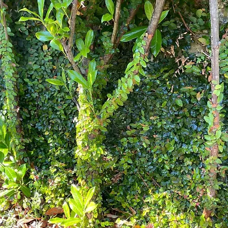 Holiday home Casa De Santo Andre *