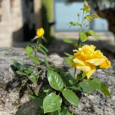 Casa De Santo Andre 度假居 *