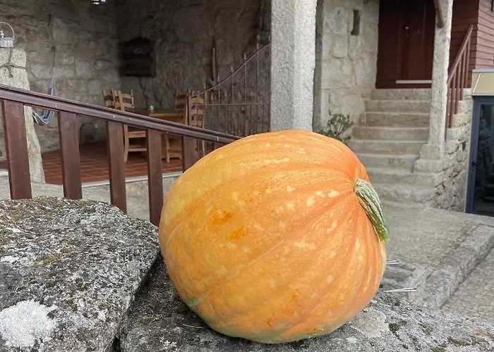 بيت للعطل Casa De Santo Andre Monção