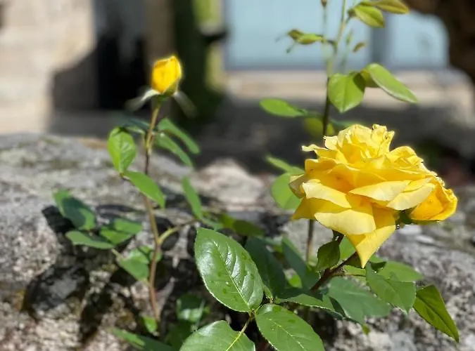 Casa De Santo Andre Holiday home *