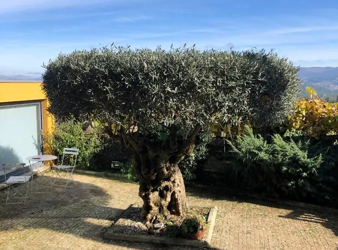 بيت للعطل Casa De Santo Andre